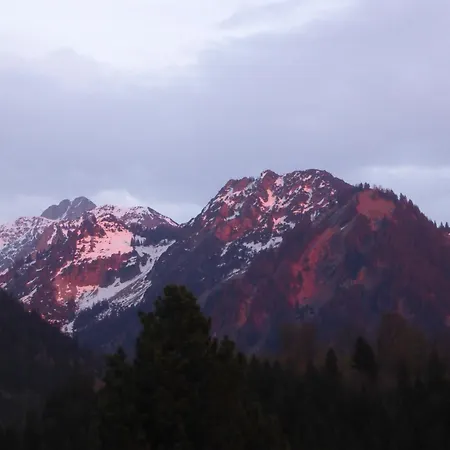 Alpentraum - Maeusle Oberstdorf
