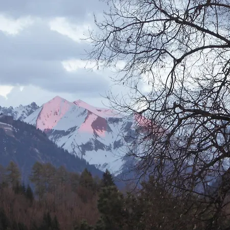 Alpentraum - Maeusle Oberstdorf